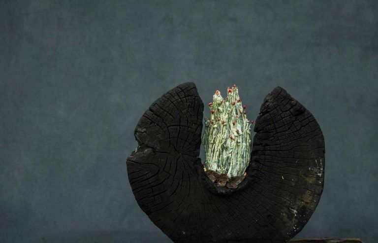 Universidad Autónoma de Chile presentará la exposición de arte «Tierra Azul» del escultor Eduardo Hernández