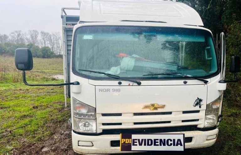 PDI Temuco recupera camión de transporte de ganado que fue sustraído en Freire