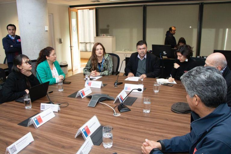 Ministro Valenzuela informó estimación preliminar de 100 mil hectáreas agrícolas afectadas directamente por sistema frontal 