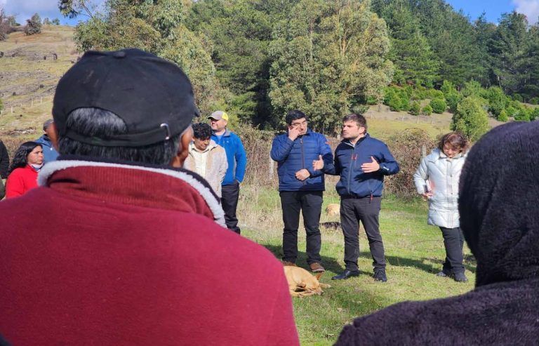 Alcalde de Traiguén Emite un Comunicado ante Atentados en Sector Aniñir