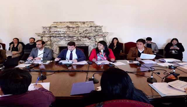 Ministra Toro entregó antecedentes sobre pérdida de tierras mapuche y explicó el rol histórico del MBN en el proceso