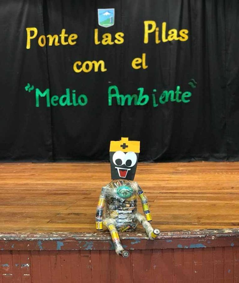 Frontel y la Seremi del Medio Ambiente Región de La Araucanía lanzan VIII versión de campaña de recolección de pilas