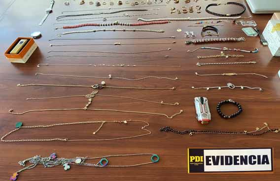 PDI Victoria detuvo a dos hombres por robo en lugar habitado e Infracción a la Ley 20.000