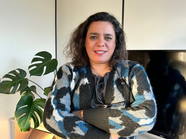 Royalty Minero: una gran noticia para La Araucanía