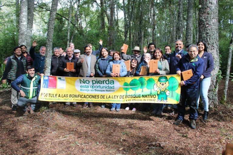 CONAF reconoce trabajo de propietarios en marco del Concurso Bosque Nativo