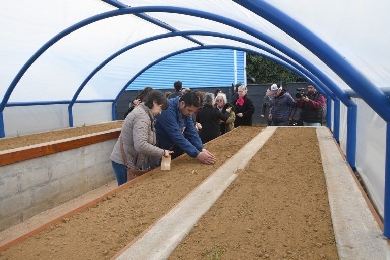 Temuco: inauguran Huerto Urbano en el barrio Tucapel