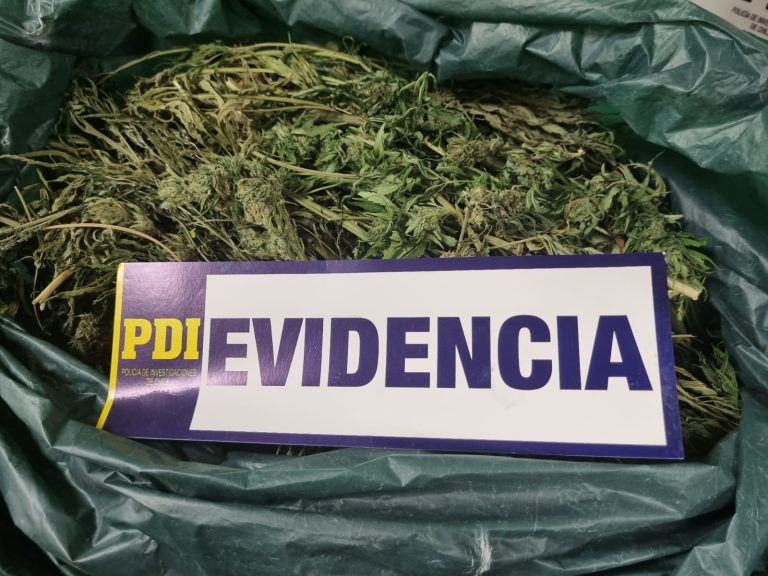 PDI recuperó especies avaluadas en $2 millones que fueron sustraídas desde una vivienda en Villarrica