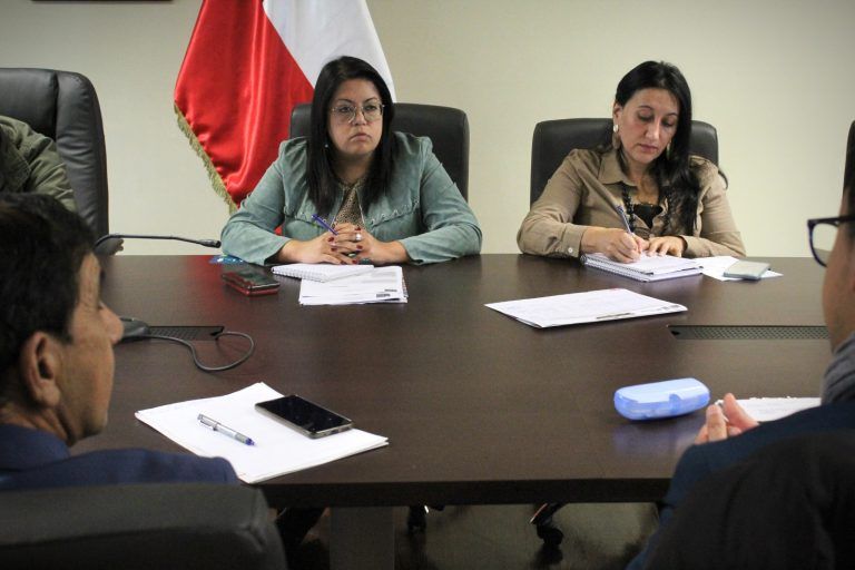 Seremi Huillipan lideró mesa extraordinaria de Niñez y Adolescencia ante vulneración de derechos en colegio de Temuco