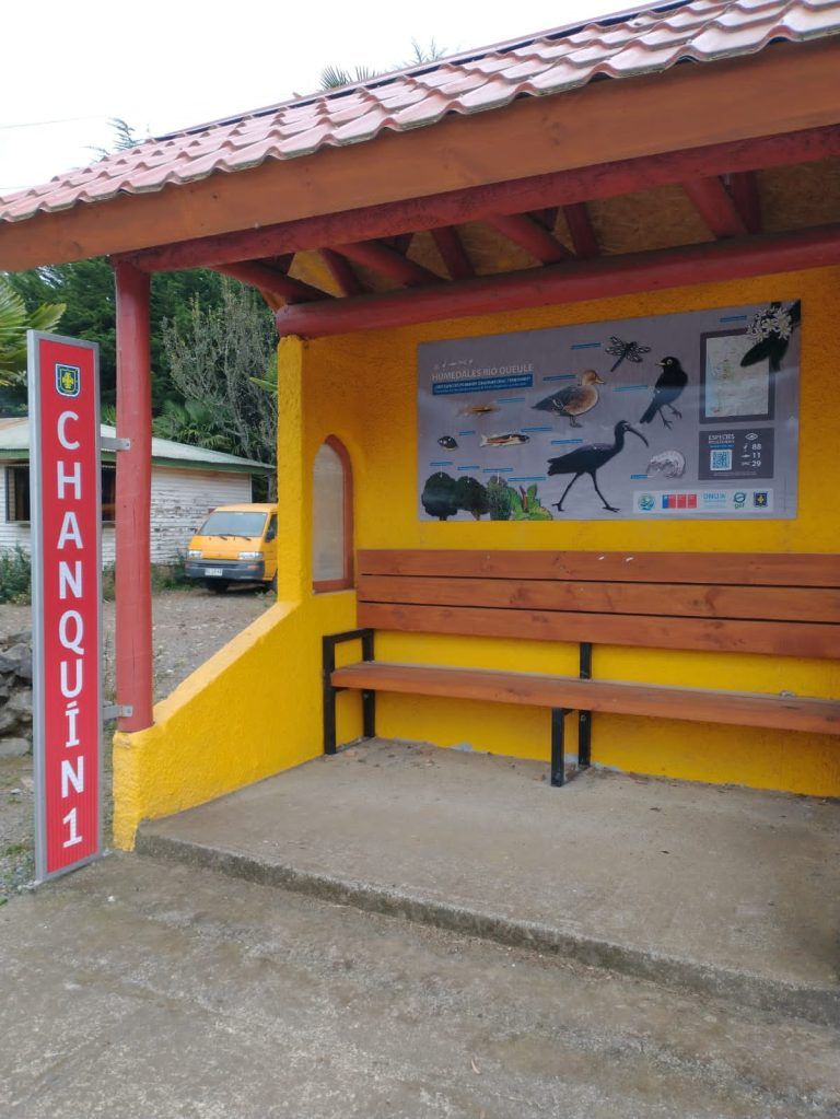 Dan a conocer biodiversidad de los humedales del río queule a través de novedosas señaléticas educativas