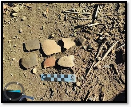 Bidema Temuco descubre nuevo sitio arqueológico en el Ñuble