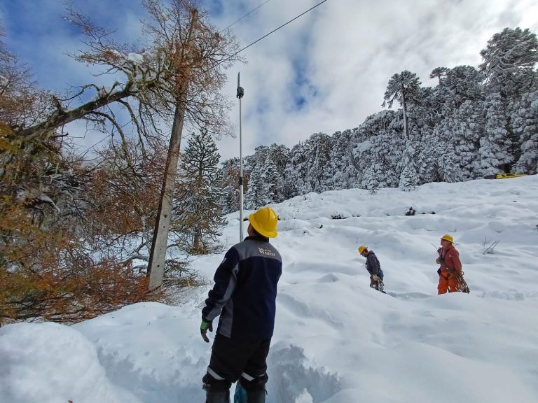 Brigadas de Frontel trabajan arduamente en sectores afectados por la nieve en la Araucanía
