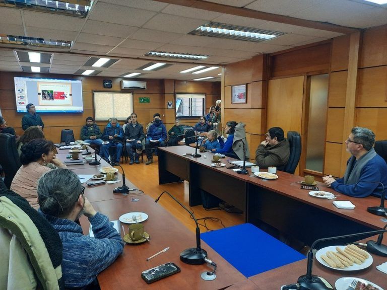 Organizaciones de Pucón representan proyectos participativos para financiamiento municipal