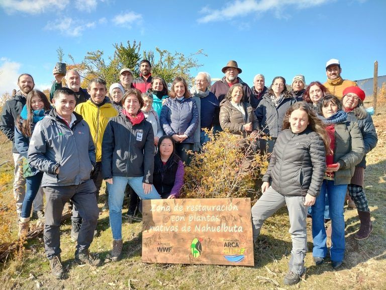 Comunidad local impulsa restauración en Cordillera de Nahuelbuta con recolección de semillas y viverización de plantas nativas