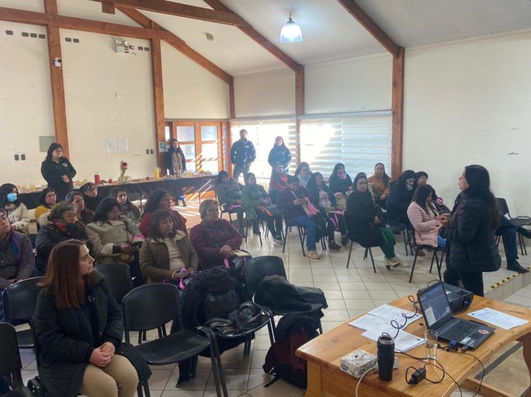 Seremi de trabajo y Previsión Social se desplegó en Saavedra junto al IPS/Chile Atiende