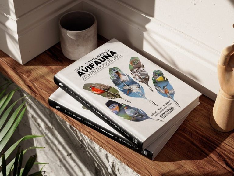Lanzamiento «Guía Fotográfica de Avifauna del Centro y Sur de Chile» 7 de los autores son de la región La Araucanía