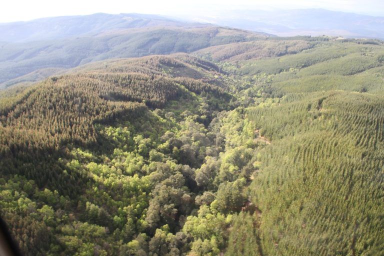 Día del Medio Ambiente y el desafío de la restauración con miras a la próxima COP16 de biodiversidad