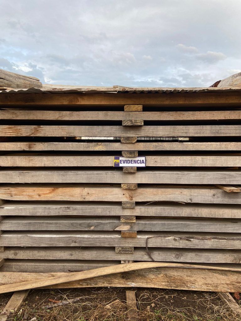 PDI detuvo a dos hombres por sustracción de madera desde predio forestal de Traiguén