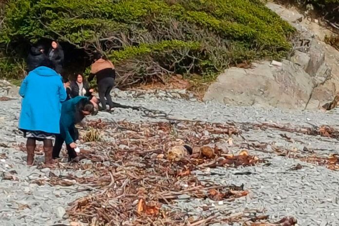 Desde Queule y Carahue viajan para intercambiar experiencias sobre acuicultura de pequeña escala