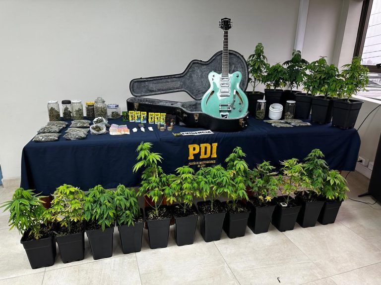 PDI recupera guitarra eléctrica sustraída en Villarrica: en domicilio del imputado se descubrió cultivo indoor de marihuana