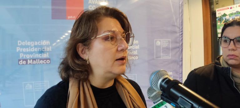 Angol, Renaico y Collipulli son las comunas más afectadas por mal tiempo en Malleco
