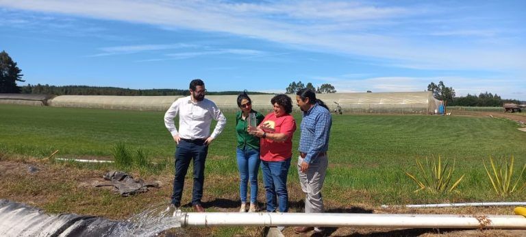 Agricultoras de La Araucanía podrán presentar sus proyectos al Concurso Nacional de Riego para Mujeres de la CNR