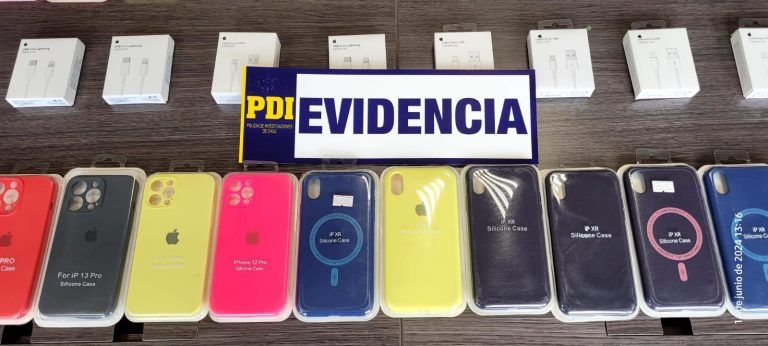 PDI Temuco incautó más de 100 productos falsificados