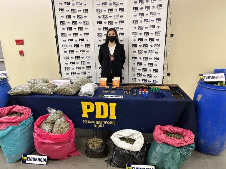 Brigada Antinarcóticos Temuco incautó más de 60 mil dosis de cannabis y detuvo a padre e hijo por tráfico de drogas