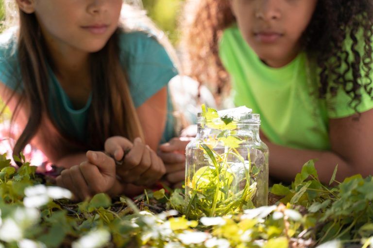 Mi Patio es el Mundo 2024: Cultivando un futuro sostenible desde la primera infancia