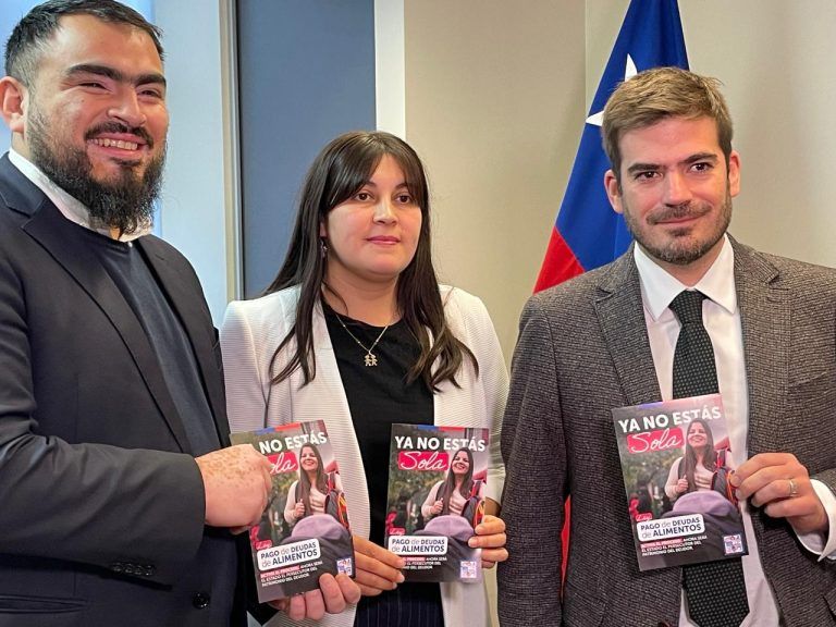 Operación Renta 2024: se triplicaron las retenciones a deudores de pensiones de alimentos en La Araucanía