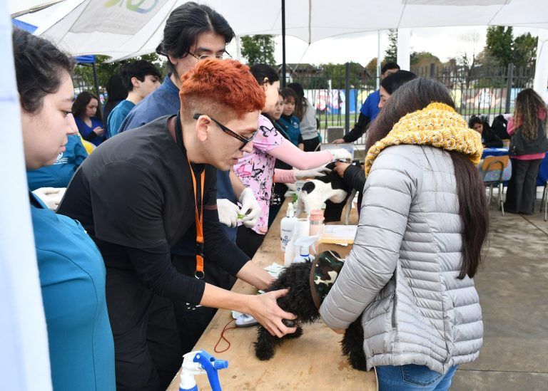 “Nos vemos en tu Barrio”: El programa que lleva servicios municipales a las comunidades de Temuco