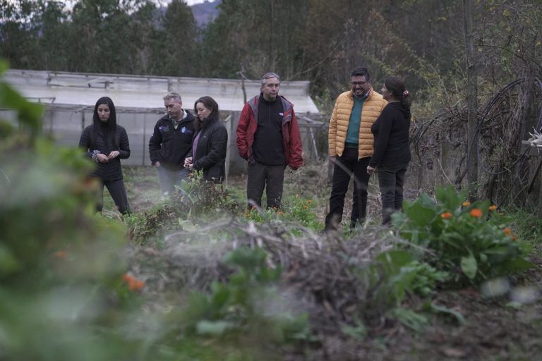 Municipio de Loncoche genera faros agroecológicos a través del programa PRODESAL