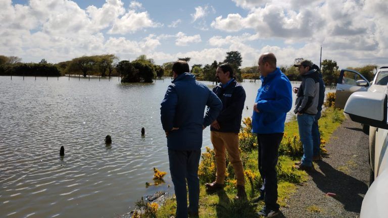 Declaran Emergencia Agrícola en la región de La Araucanía
