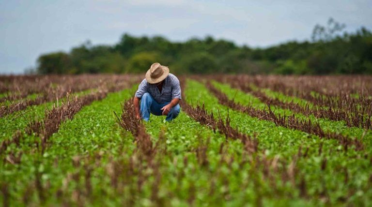 Auditoría establece falta de control en rendición de recursos por Censo Agropecuario y Forestal