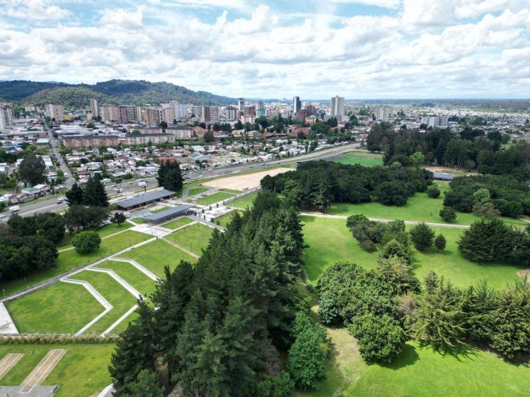 Día Mundial del Árbol Temuco: «la ciudad verde del sur de Chile»