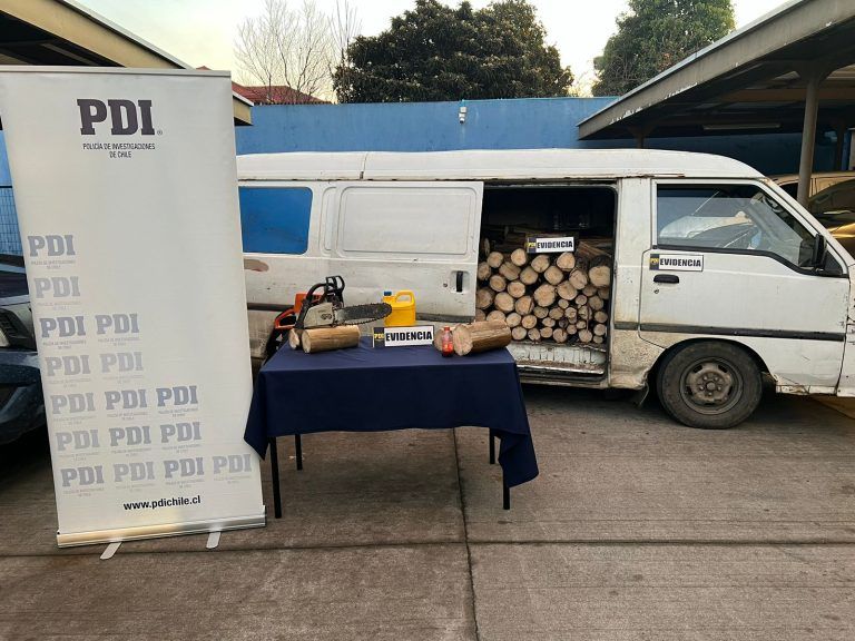 PDI detiene a dos hombres por robo de madera en Forestal MININCO