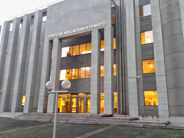 Municipalidad de Temuco gana pugna legal a INDH por fiscalización a comerciante ilegal