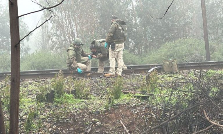 Grupo radical intentó boicotear transporte ferroviario en la comuna de Ercilla
