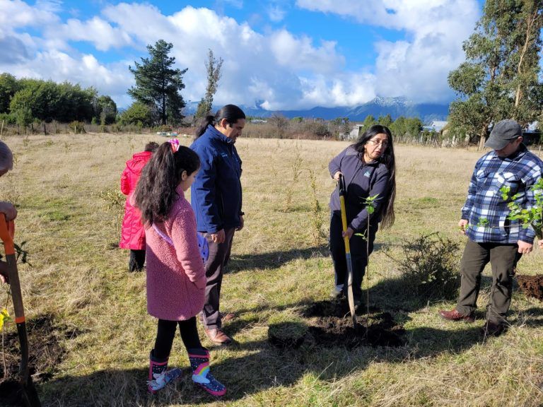 CONAF entrega árboles melíferos a mesa apícola regional
