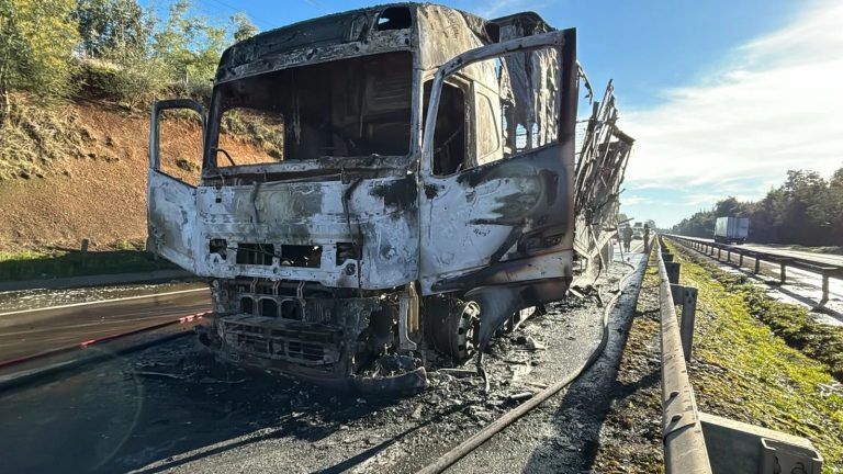 Advierten reaparición de grupos violentistas tras serie de ataques en La Araucanía