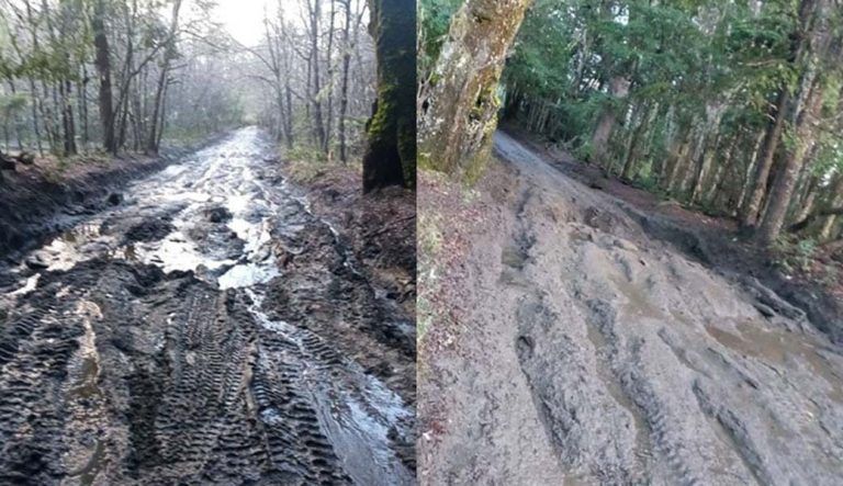 Operativo para auxiliar a 12 personas en Parque Nacional Nahuelbuta