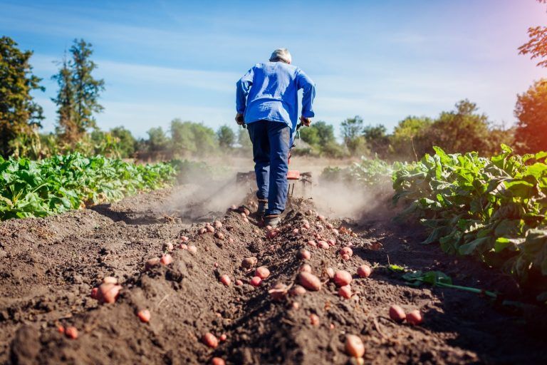Diputado Jorge Rathgeb insiste frente a las autoridades del ramo en necesidad de entregar apoyo a agricultores de La Araucanía