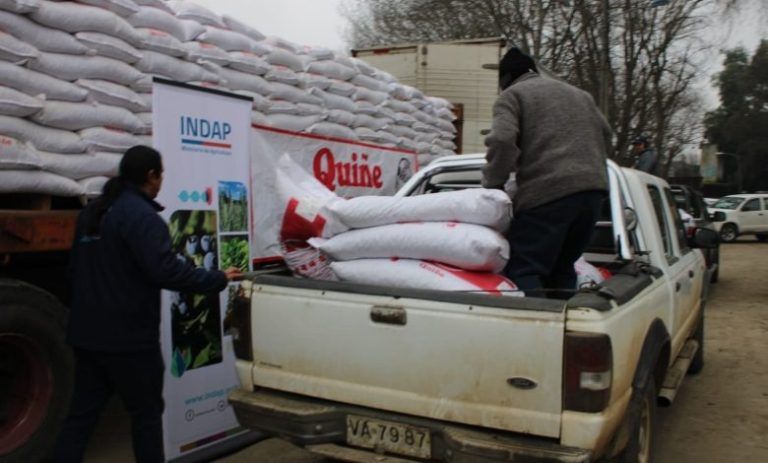 INDAP inició entrega de ayuda de emergencia a agricultores afectados por lluvias