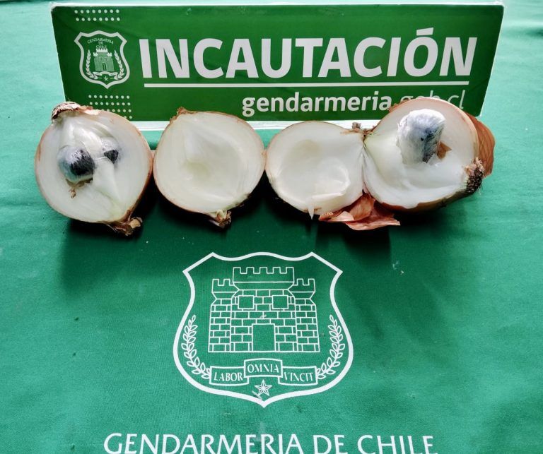 Oculta en cebollas intentaron ingresar droga a la cárcel de Temuco