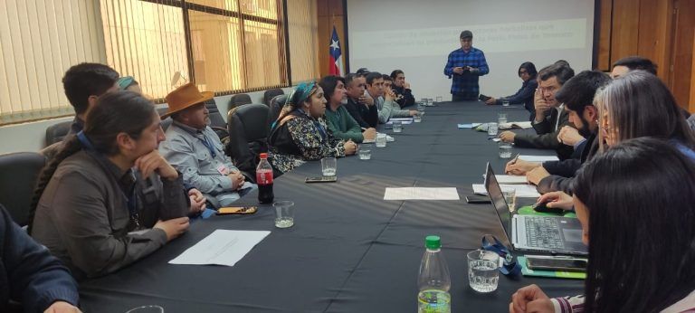 Productores mapuche de La Araucanía se reúnen con ministro de agricultura en Santiago