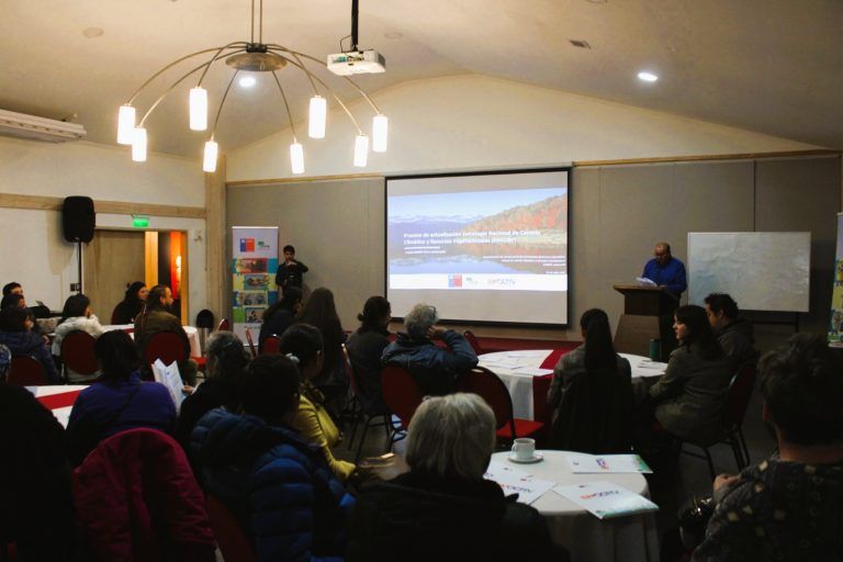 Realizan taller para analizar medidas ante el cambio climático en La Araucanía