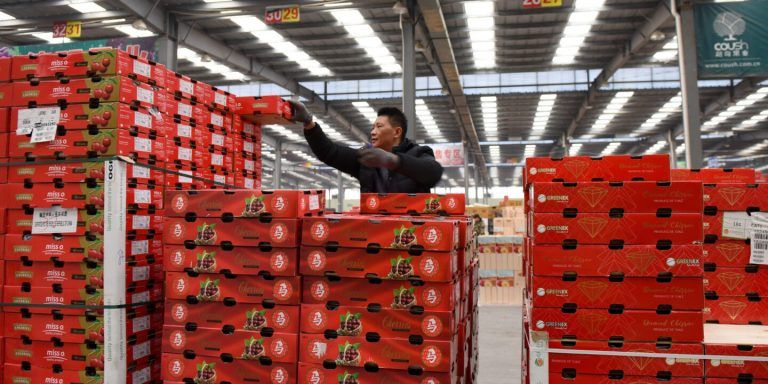 Fruteros potencian presencia en Latinoamérica: hoy es el tercer destino de las frutas frescas chilenas