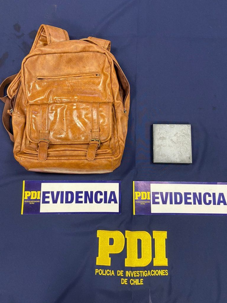 PDI Angol recuperó especies sustraídas a un médico en Purén