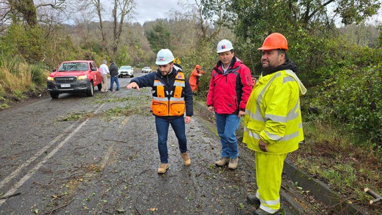 MOP trabaja de manera intensa en el despeje de caminos afectados por caída de árboles
