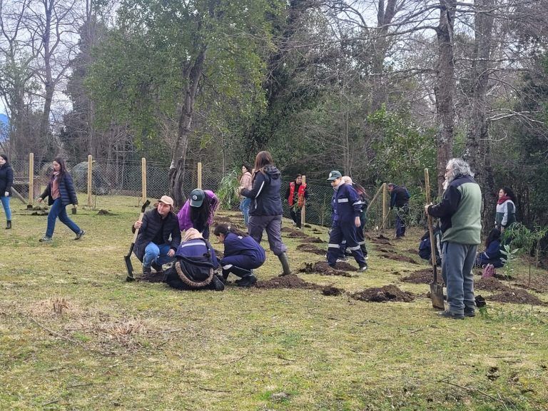 CONAF y Municipalidad de Melipeuco trabajan para crear Parque Urbano