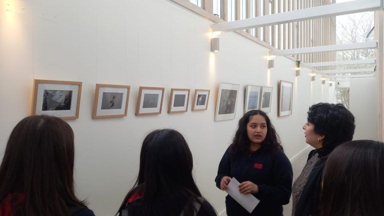Artistas visuales de Temuco y Barcelona se unen en proyecto colaborativo